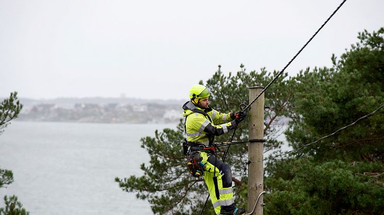 Under perioden 27 november - 3 december kommer vi att besiktiga vårt elnät med drönare.