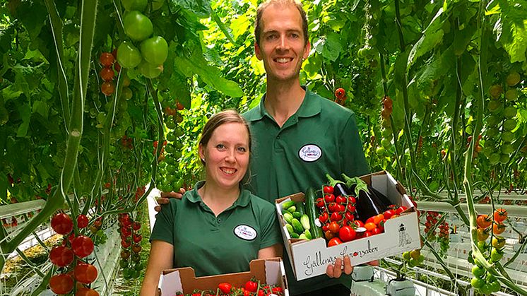 Att odla hållbart är viktigt för Anette och Peter van Schie på Gällenäs Grönsaker. Idag odlar de tomater, gurkor, paprika, aubergine och chili som märks med Från Sverige.