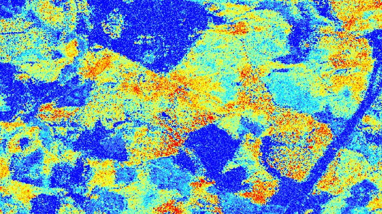 Allt säkrare skattningar av skogsbiomassa med 3D-satellitdata