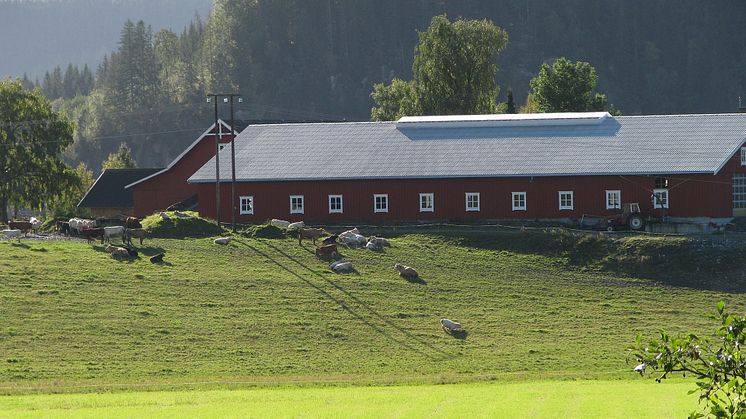 Seminarium: Uthållig vinst i lantbruket – internationell jämförelse 2.0