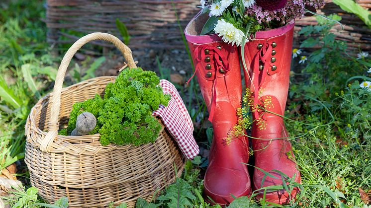 Välkommen till Elmia Garden