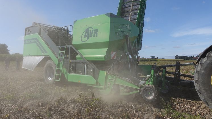 The new Clean & Go bunker provides additional cleaning by means of a cleaning roller mounted between the bunker floor and the elevator. Opting for a rod web as an elevator web also brings additional sieving capacity.