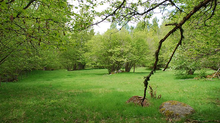 Färska uppgifter om länets Natura 2000-områden