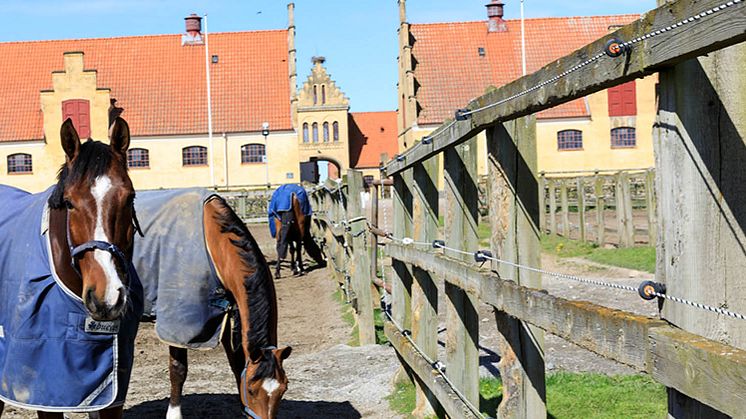 Kostnadsfritt webbinairum tillsammans med Flyinge AB