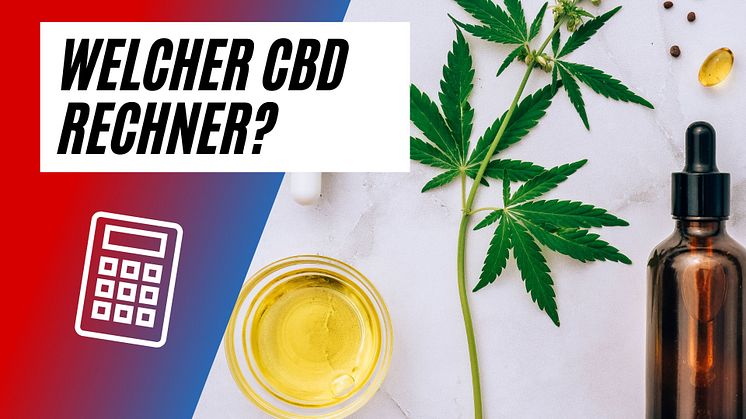 Welcher CBD Rechner ist der Beste? 