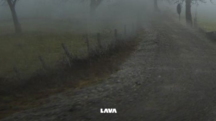 Klas Holmberg reflekterar över livets små och stora frågor i lyrikboken "Jag tänker på promenaden"