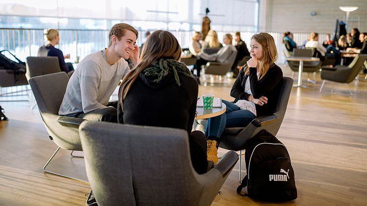 Förskollärarutbildningen och grundlärarexamen med inriktning mot fritidshem bedöms hålla hög kvalitet.