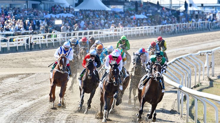 Derbyfältet - Jägersro - foto Stefan Olsson Svensk Galopp