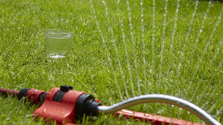 Selv i tørre perioder, er det tilstrekkelig å vanne én til to ganger i uken, men husk å vanne ca. 20 liter per kvadratmeter. Foto: STIHL