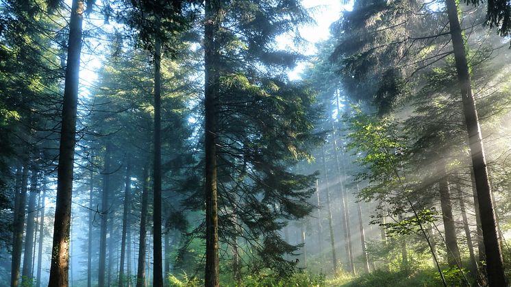 Nytt ljus över klimatets dimmiga förflutna