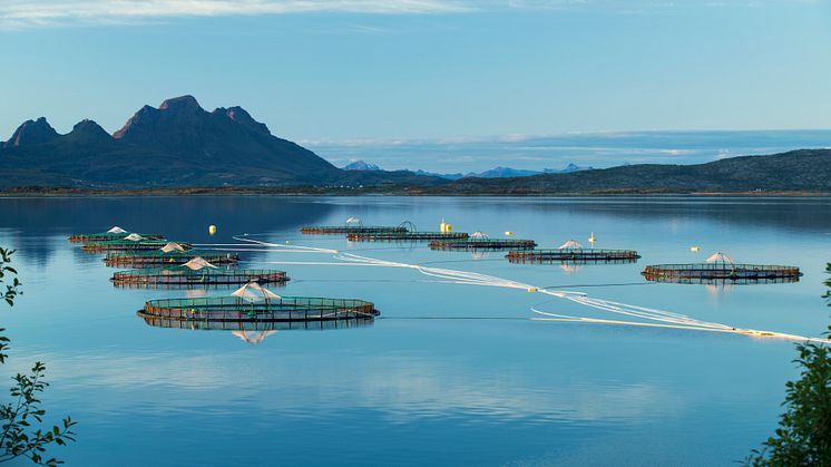 Svartfjell - one of Cermaq's sites in Nordland, Norway