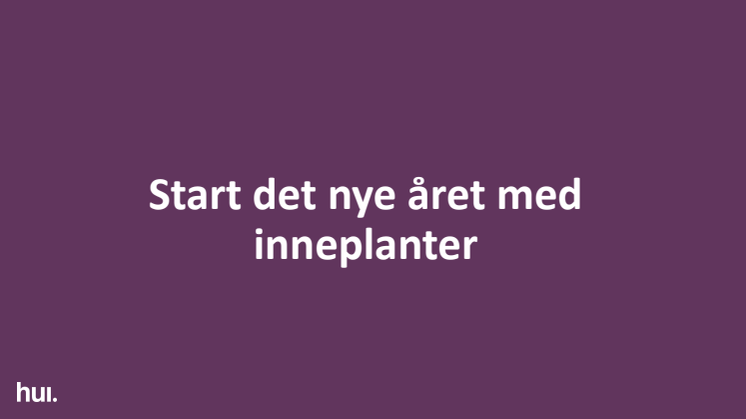 Start det nye året med inneplanter - Norge.pdf