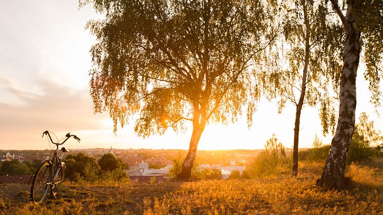 Abendstimmung in Freiberg / Foto: TVE _Greg Snell_snellmedia.com  