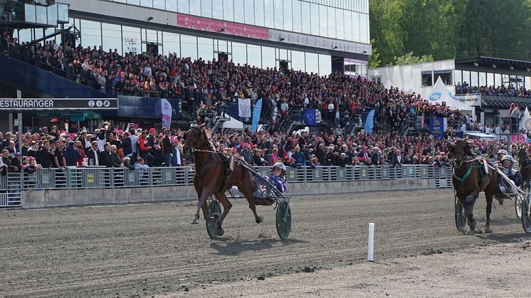 Eelis vinner Harper Hanovers lopp. Foto: Solvalla