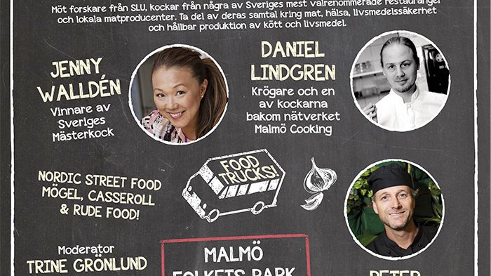 Vad lägger du på din tallrik?  – kockar möter forskare från SLU på matfestival i Malmö