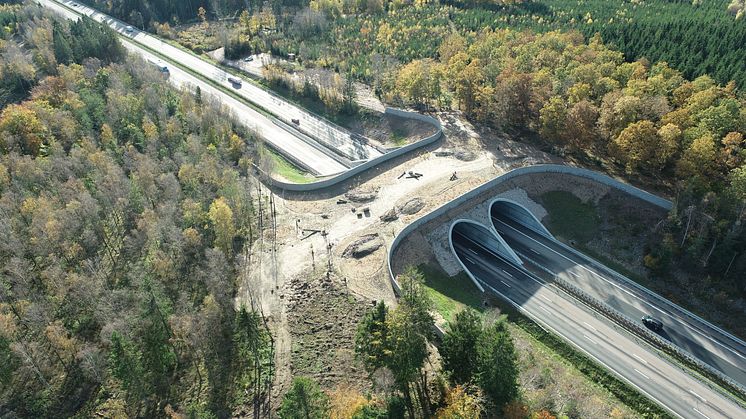 Att bygga en ekodukt har inneburit ovanliga frågeställningar i projektet, som till exempel hur man gör en bro som älgar väljer att gå över. Foto: Trafikverket 