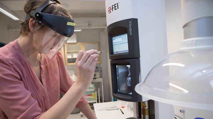 Linda Sandblad är forskare på Kemiska institutionen vid Umeå universitet och anknuten till Molecular Infection Medicine Sweden, MIMS. 