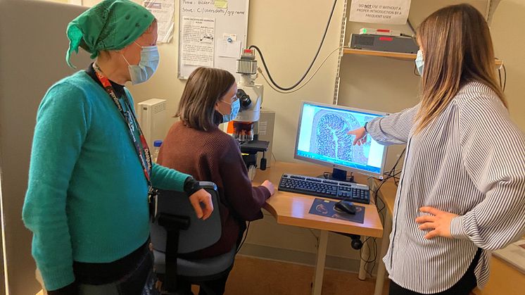 Professor Teresa Frisan, Maria Lopez Chiloeches och Anna Bergonzini tittar på bilder av hematoxylin och eosinfärgning med ljusfältmikroskopi. Foto: Javier Avila-Cariño.