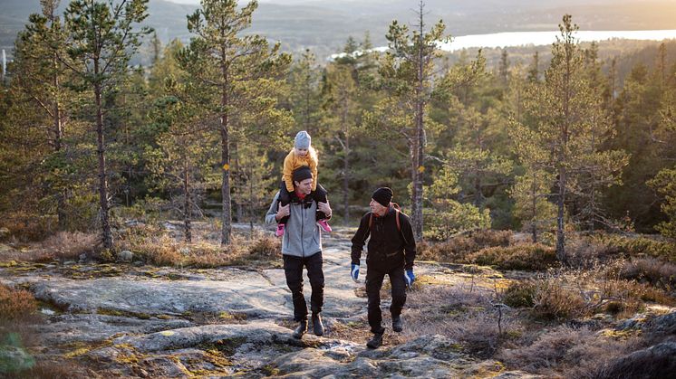 En framgångsfaktor i utvecklingen av besöksnäringen i Höga Kusten - är tillsammansandan.