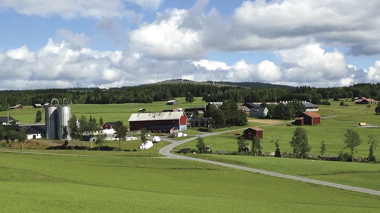 KSLAT nr 5-2020: Äganderätten och de gröna näringarna. Foto: Marianne Eriksson.