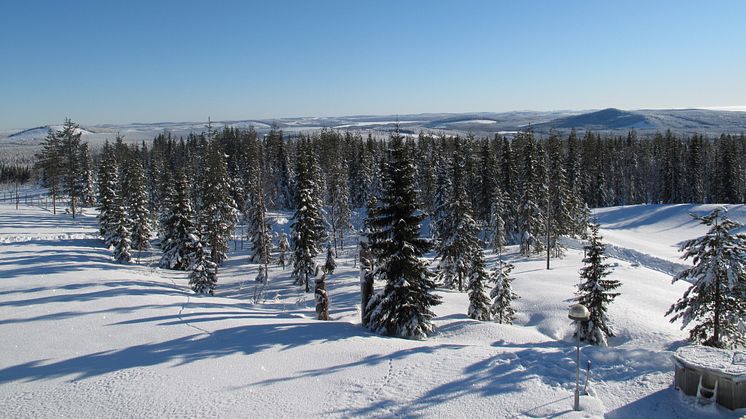 Gold of Lapland - från kust till fjäll