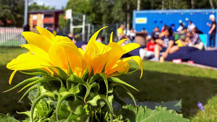 Nu startar en aktiv sommar med Vidingehem!