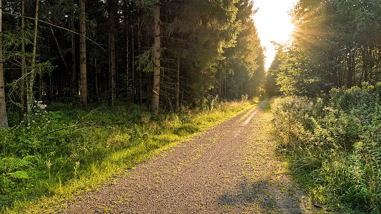 JP Infonet lanserar ny lagkommentar inom miljörätt