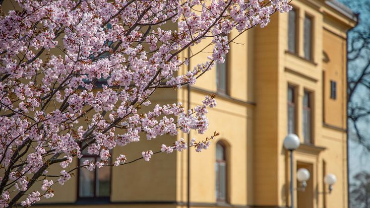 Pressinbjudan: Avslutningshögtid och vårbal för Högskolans studenter