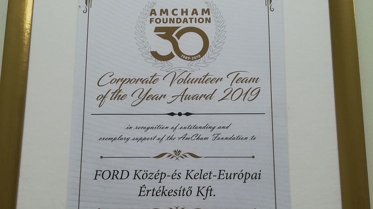 Ford Volunteer Program