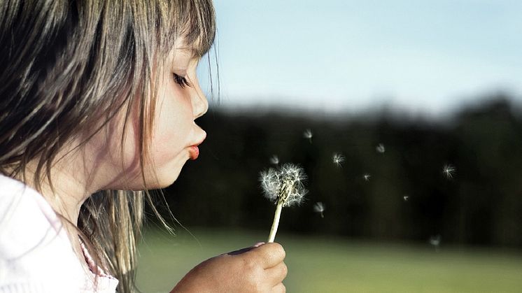 Två av nio beviljade forskningsprojekt från Högskolan Väst