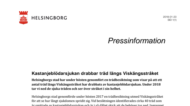 Kastanjeblödarsjukan drabbar träd längs Viskängsstråket