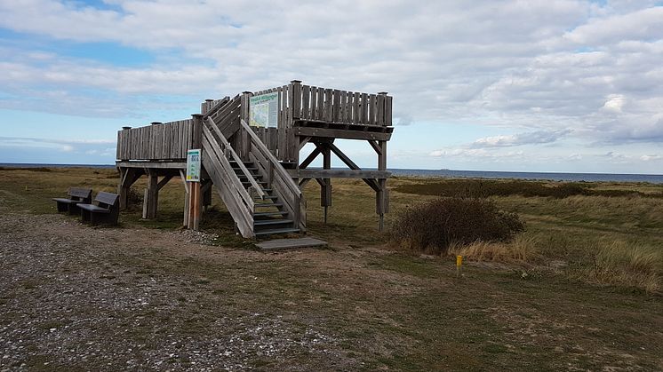 Aussichtsplattform Markelsdorfer Huk