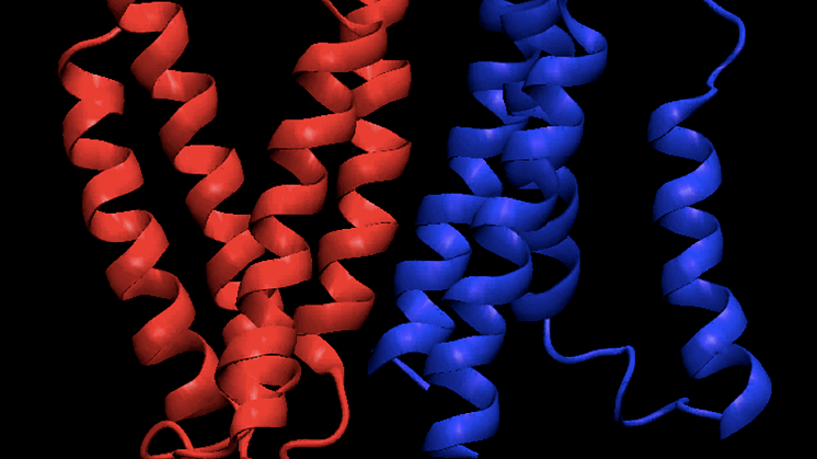 Ett typiskt membranprotein