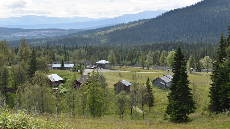 Fröå Gruva på baksidan av Åre skutan.