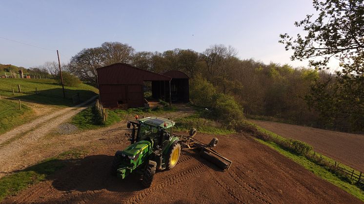 Arla farmers launch initiative to get British bees buzzing again