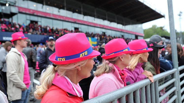 Högre omsättning och fler tv-tittare på Elitloppet	 