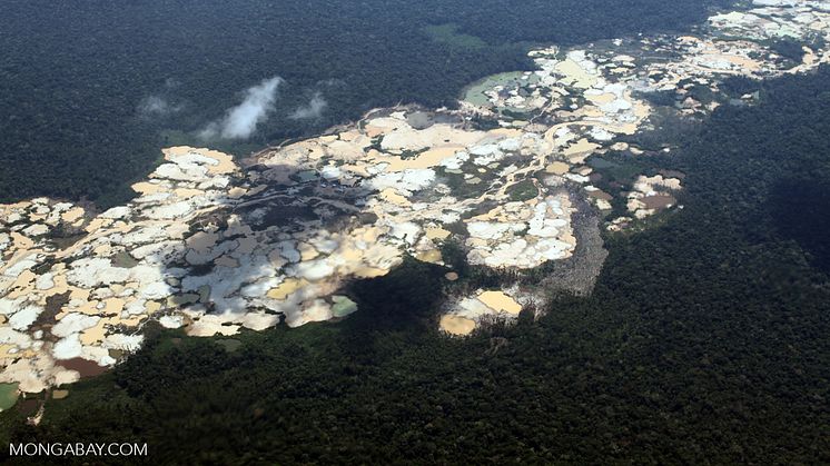 Den høje internationale efterspørgsel efter guld har lagt enorme skovområder øde i Peru for at gøre plads til ulovlig minedrift. Foto: Mongabay