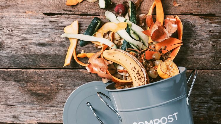 Stena Line begins collaboration with Generation Waste as its newest supplier to mitigate food waste and propel sustainability initiatives at sea.