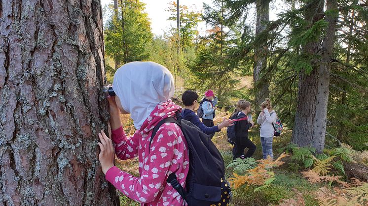 Elever i årskurs 5 som är ute med Hopajola på Naturäventyr, fotograf Ankie Rauséus