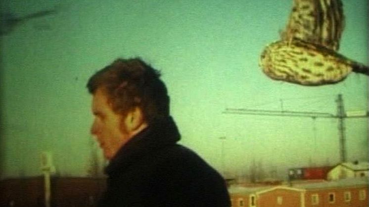 Mats Adelman, "Backwood", 2000, video still överförd till DVD. Cyklande man med flygande uggla bakom.