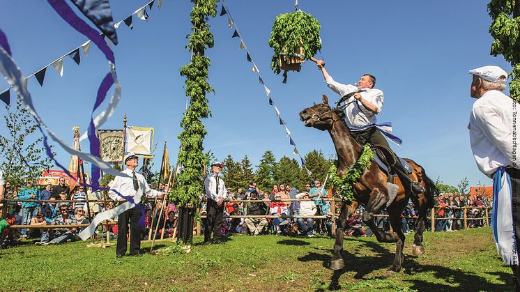 Tonnenabschlagen, bokstavligen ungefär tunnslagning, är en av de viktigaste och äldsta traditionerna i regionen Fischland-Darß-Zingst, och varje år uppförs en stor fest för gäster och lokalbefolkningen. FOTO: Voigt & Kranz UG, Prerow