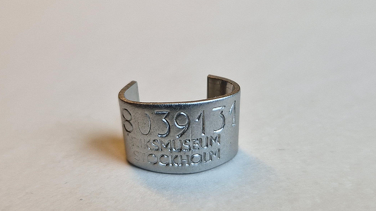 Sillgrisslan var märkt med denna ring gjord av stål. Den är lite sliten vid nollan och i början av texten, men annars i förvånansvärt bra skick. Foto Thord Fransson.