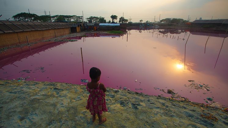 Uppsala Health Summit 2023 - Chemical Pollution and One Health