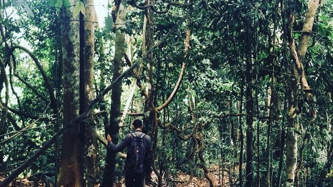 Conducting a Forest Integrity Assessment in Malaysian Borneo (credit Andy Suggitt)