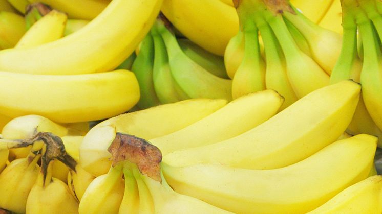 Bild: Bananer, bildrättigheter Canva