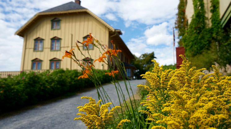 Foto: Esben Haakenstad / Aulestad