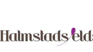 Pressträff - Dags att hylla Halmstads eldsjälar