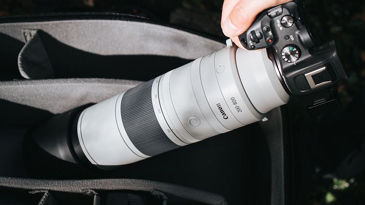 RF 200-800mm F6.3-9 IS USM_lifestyle-Get-Inspired-52