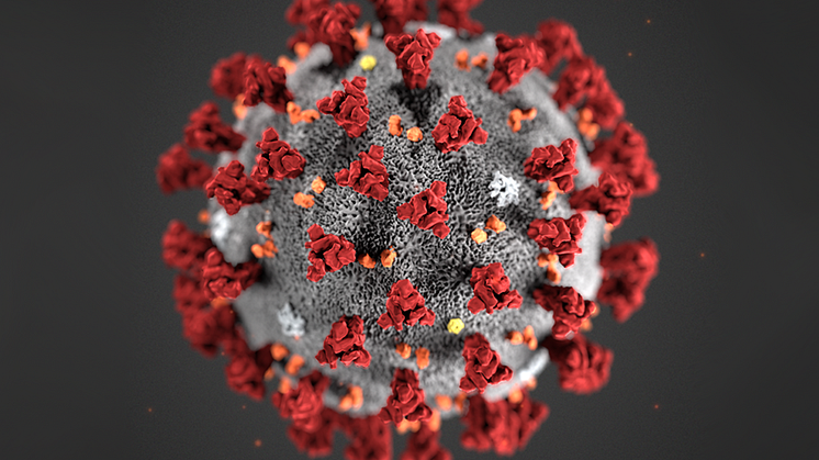 Informasjon vedrørende korona-virus