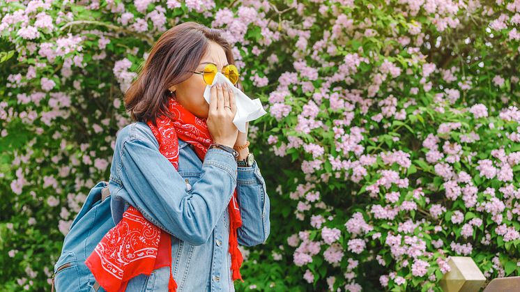 Tre miljoner svenskar lider av pollenallergi. Luftrenaren Leitz TruSens kan mildra besvären.